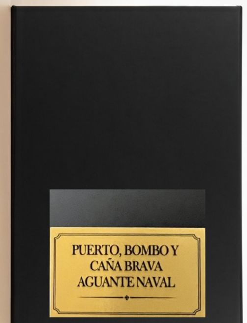 FIGURA SONKU CON SONIDO NAVAL DE TALCAHUANO